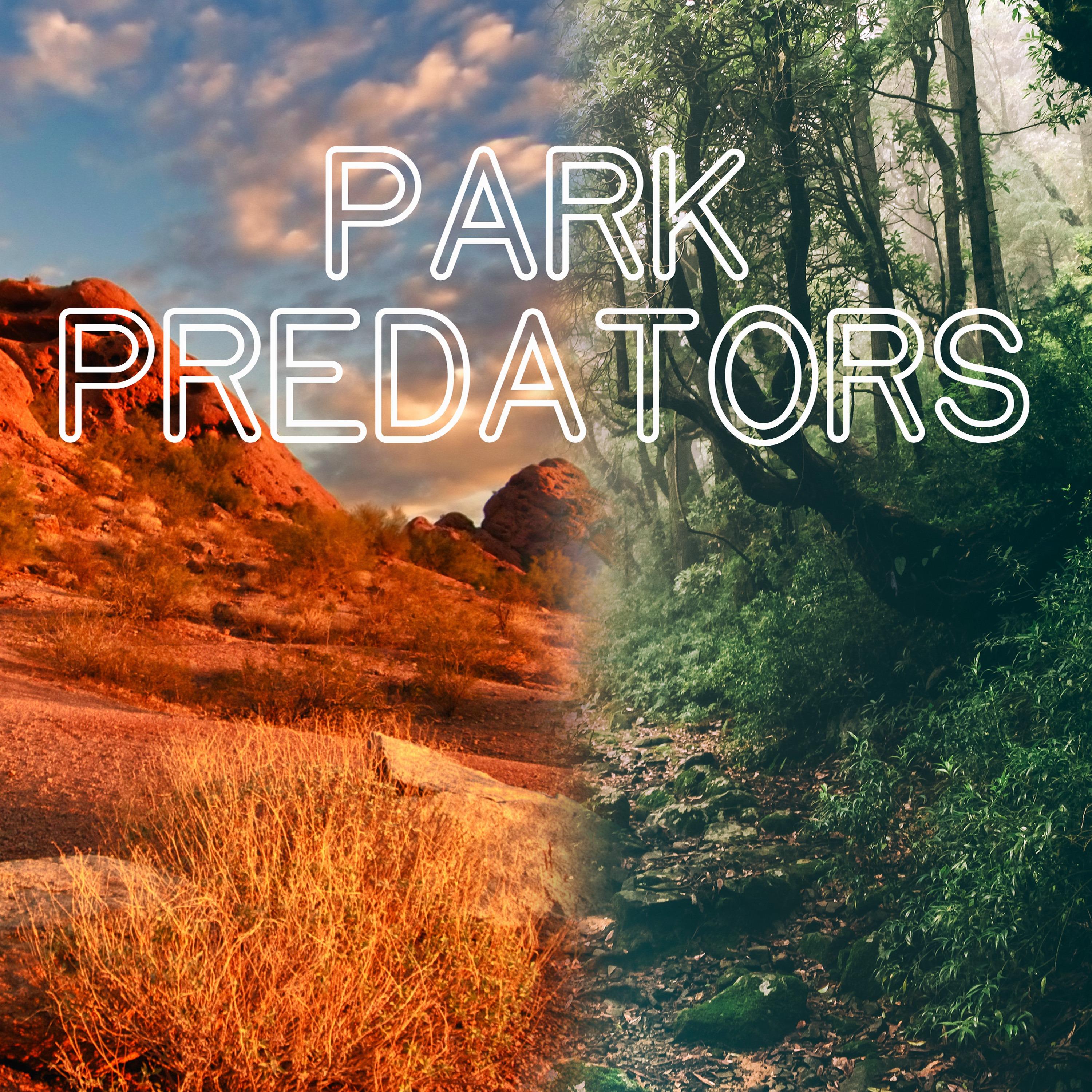 Show poster of Park Predators
