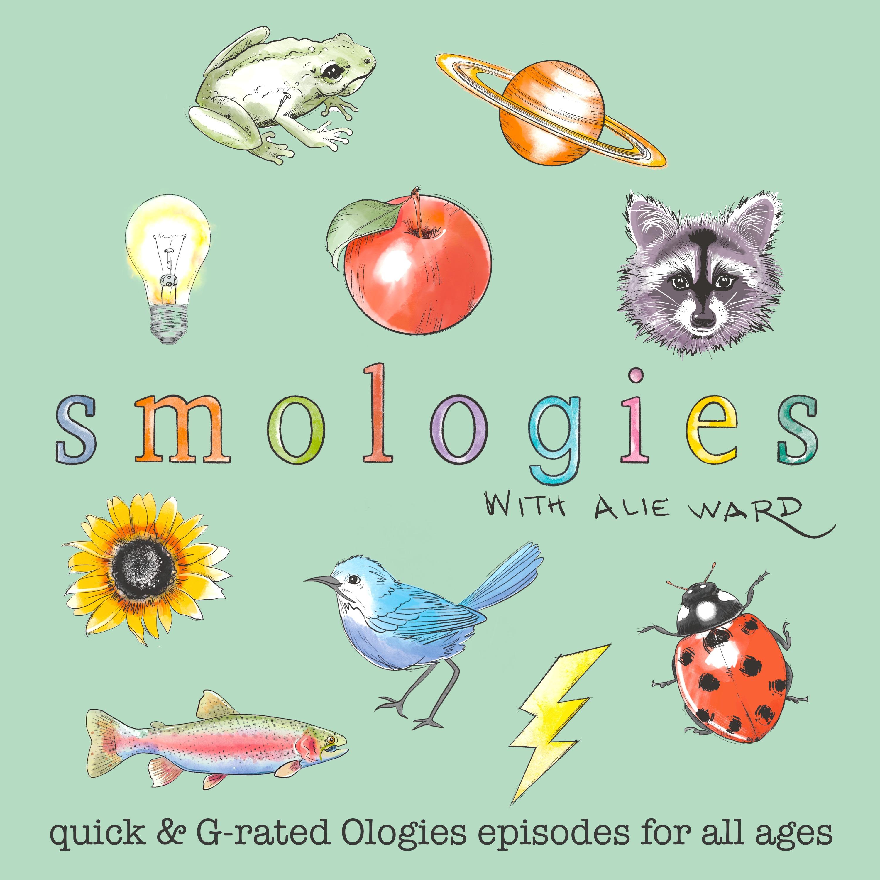 Show poster of Smologies with Alie Ward