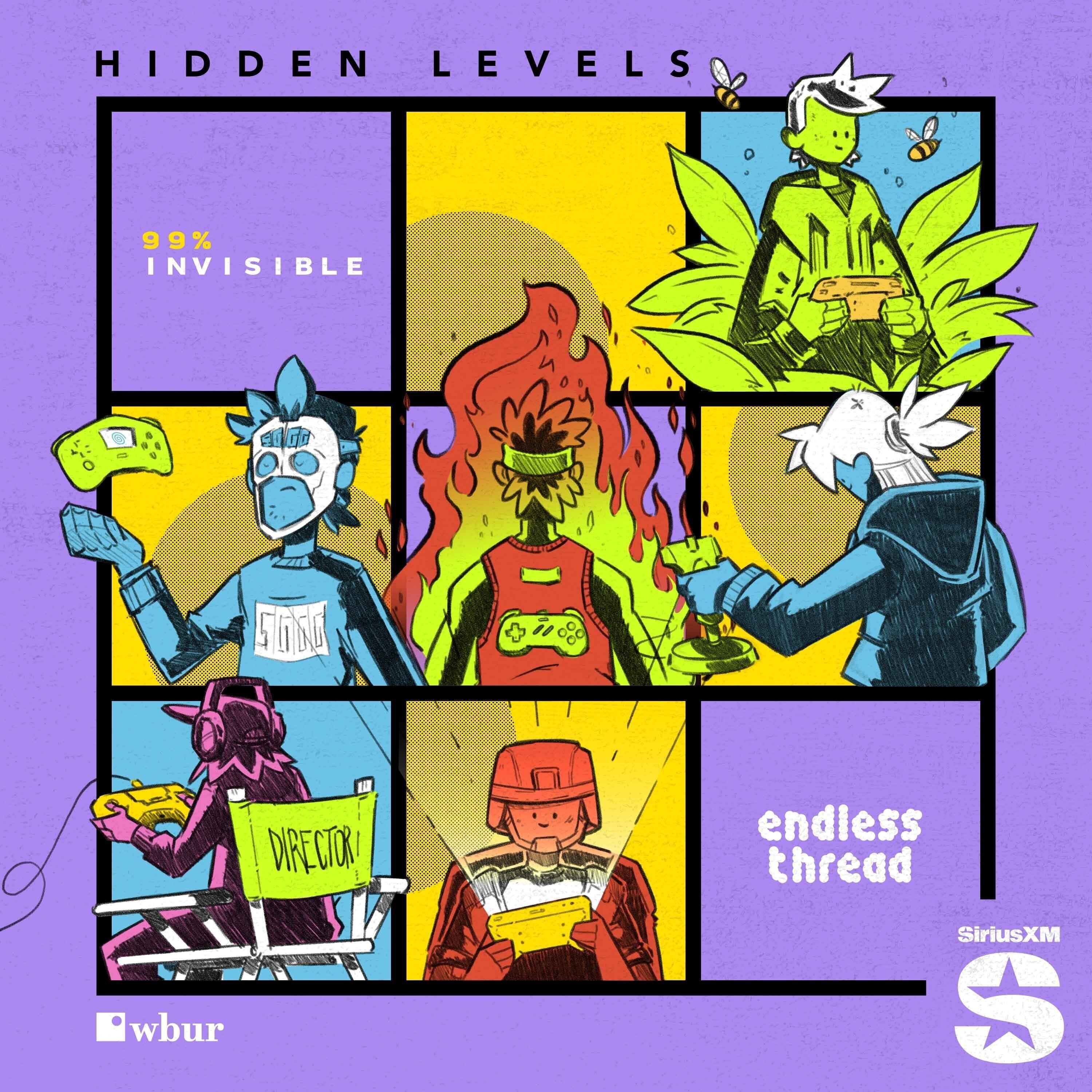 Show poster of Hidden Levels