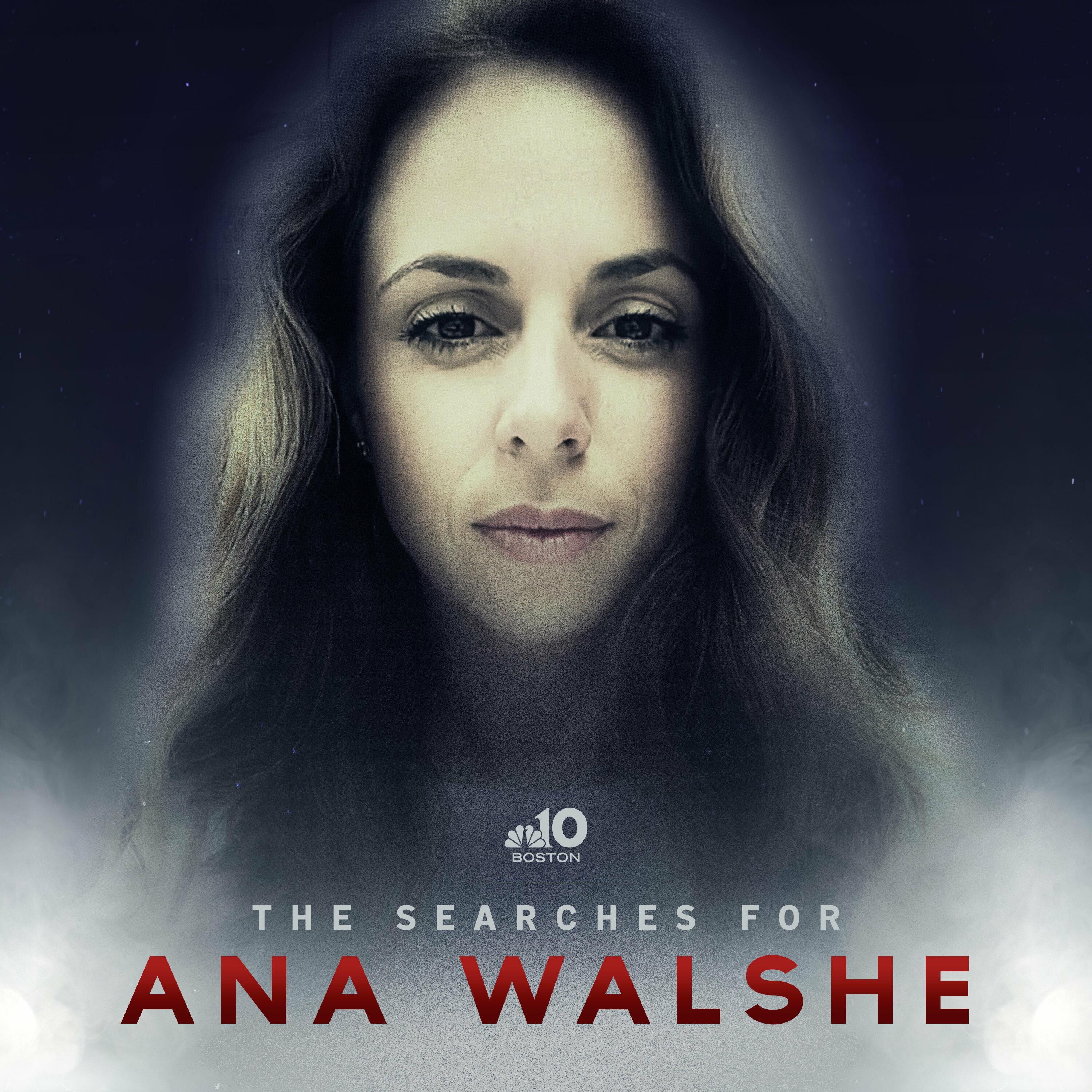 Show poster of Brian Walshe murder case: The Searches for Ana Walshe