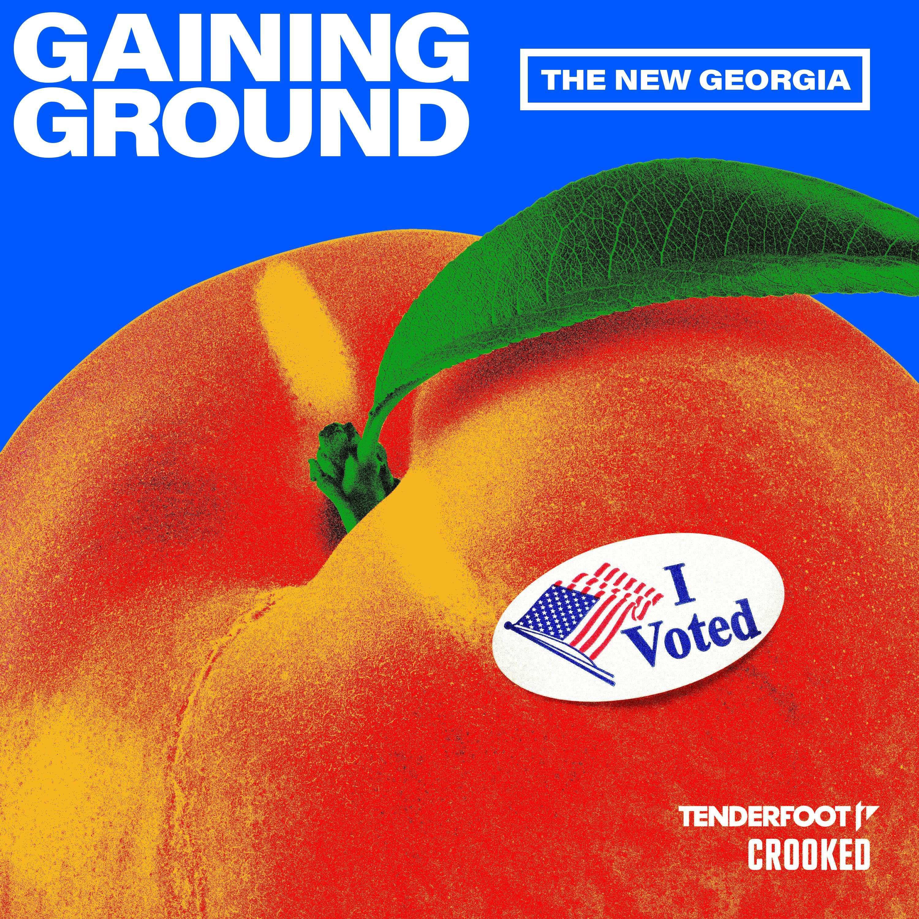 Show poster of Gaining Ground: The New Georgia