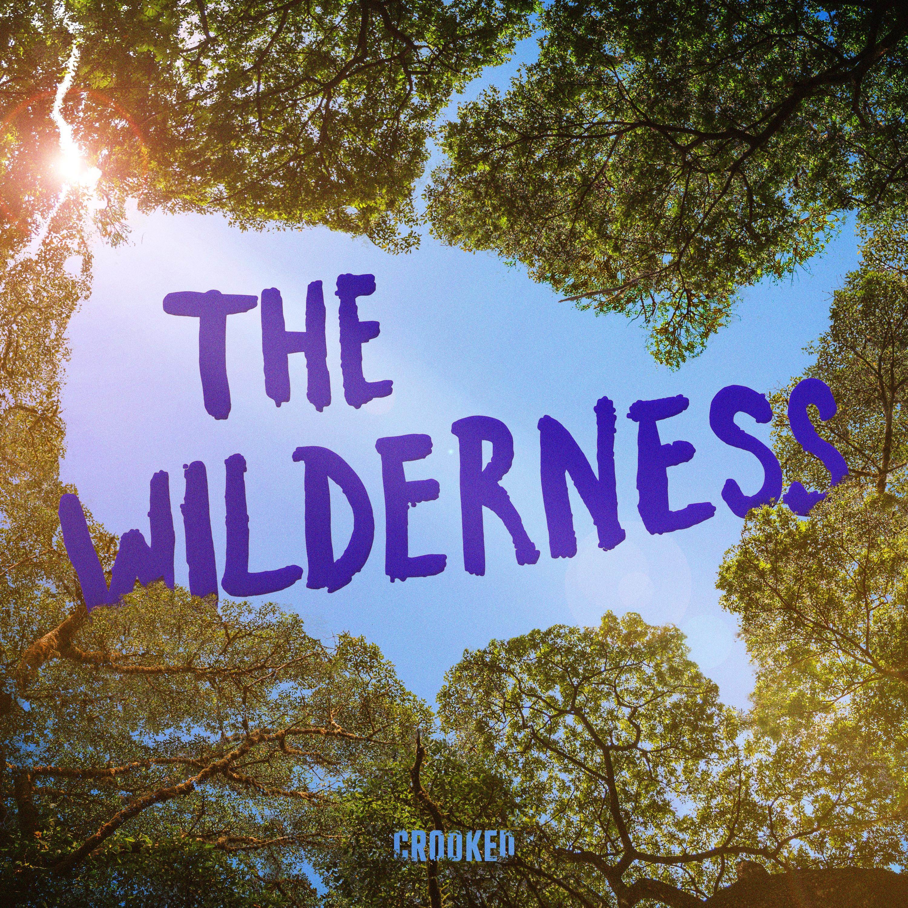Show poster of The Wilderness