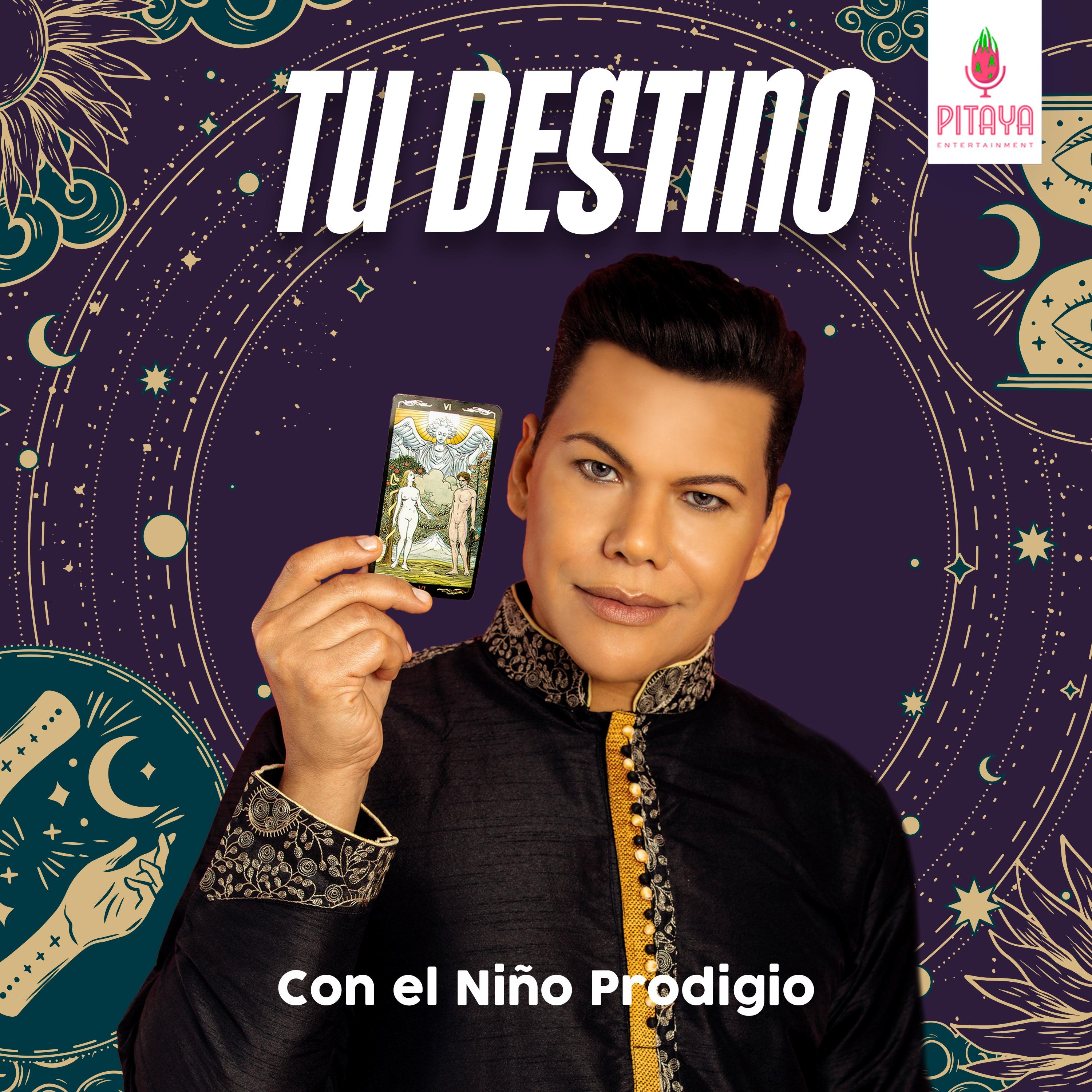Show poster of Tu Destino con el Niño Prodigio