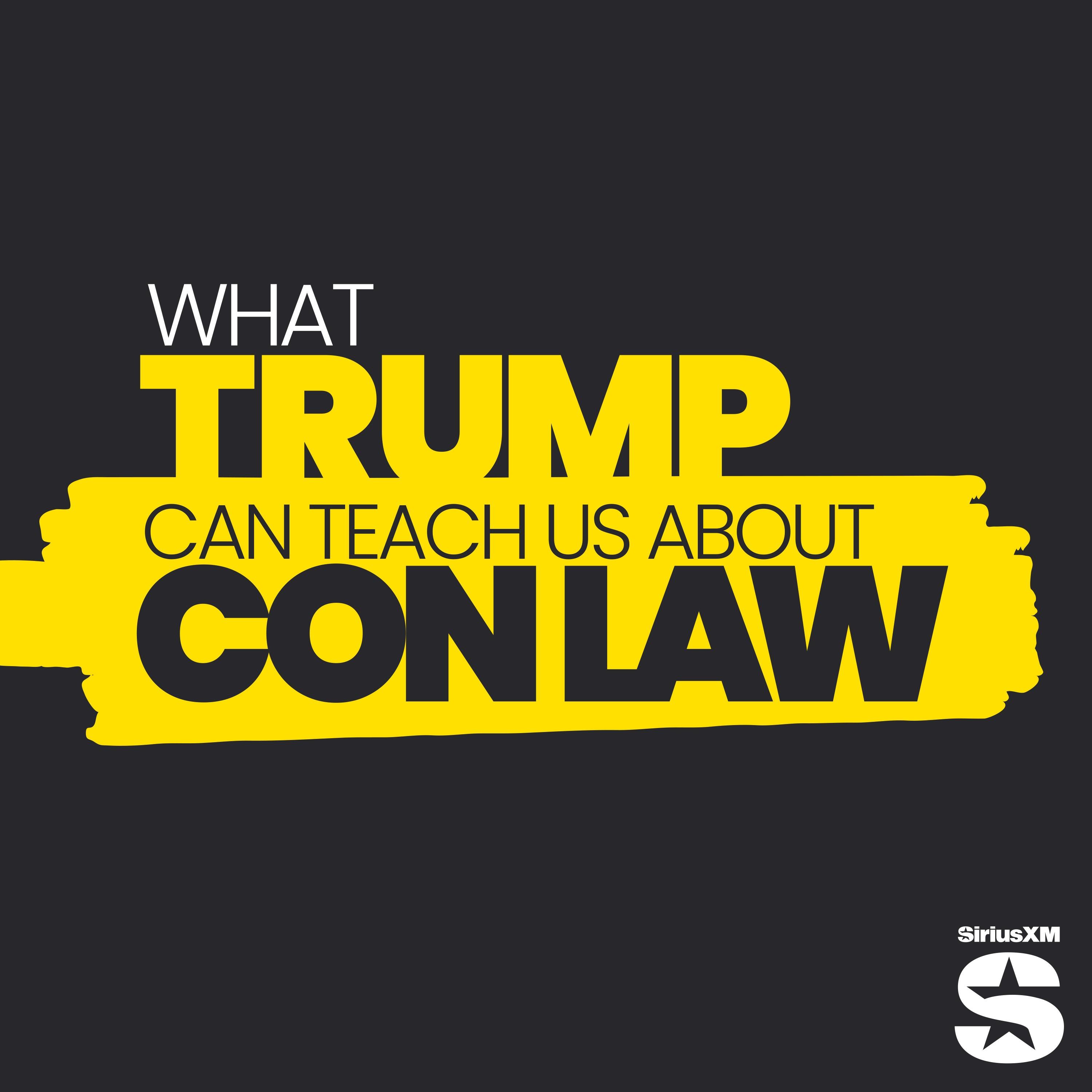 Show poster of What Trump Can Teach Us About Con Law