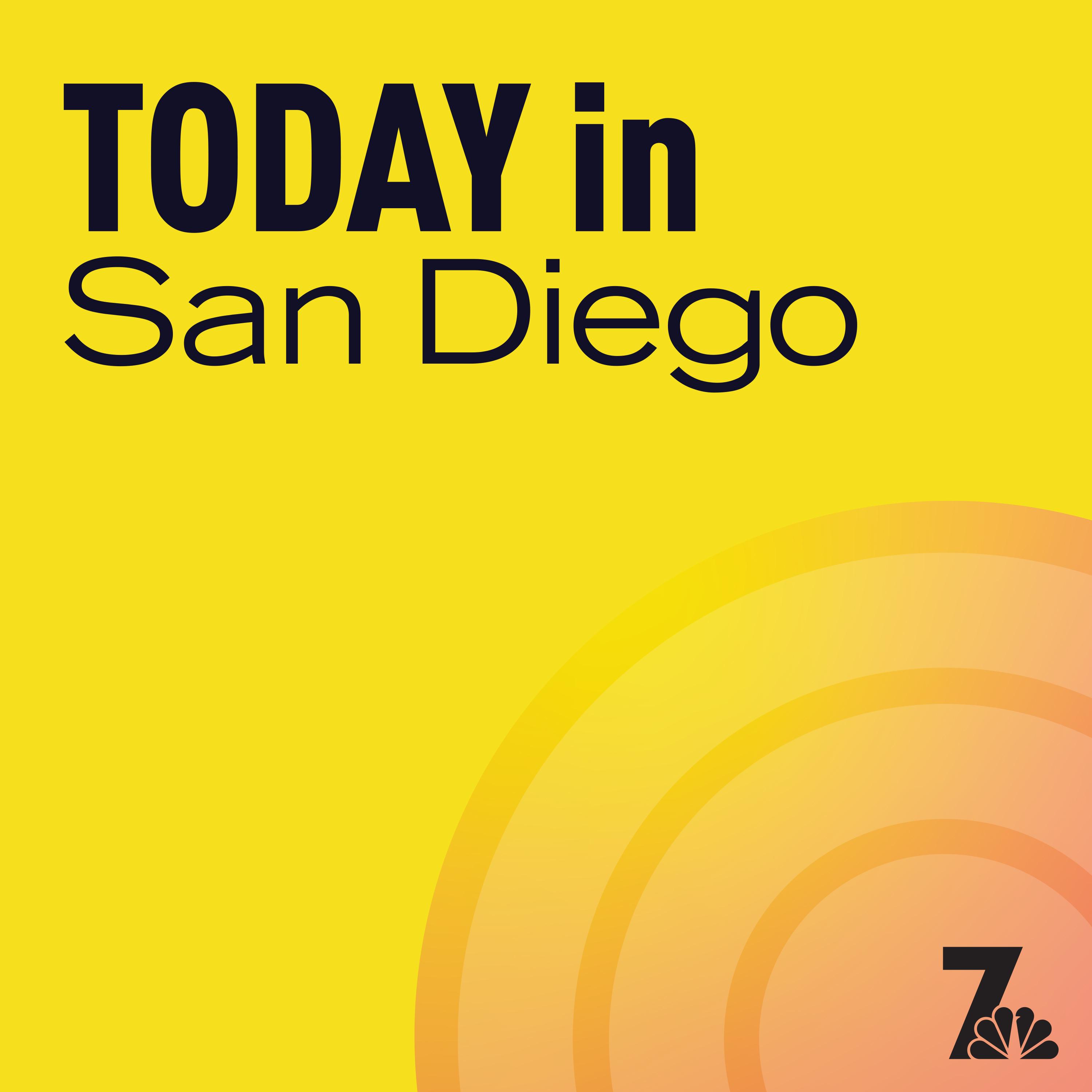 Show poster of Today in San Diego