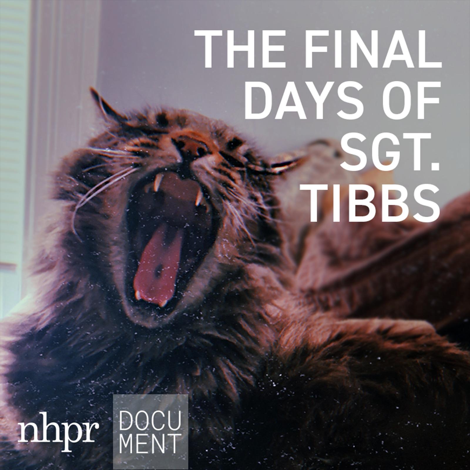 Show poster of The Final Days of Sgt. Tibbs