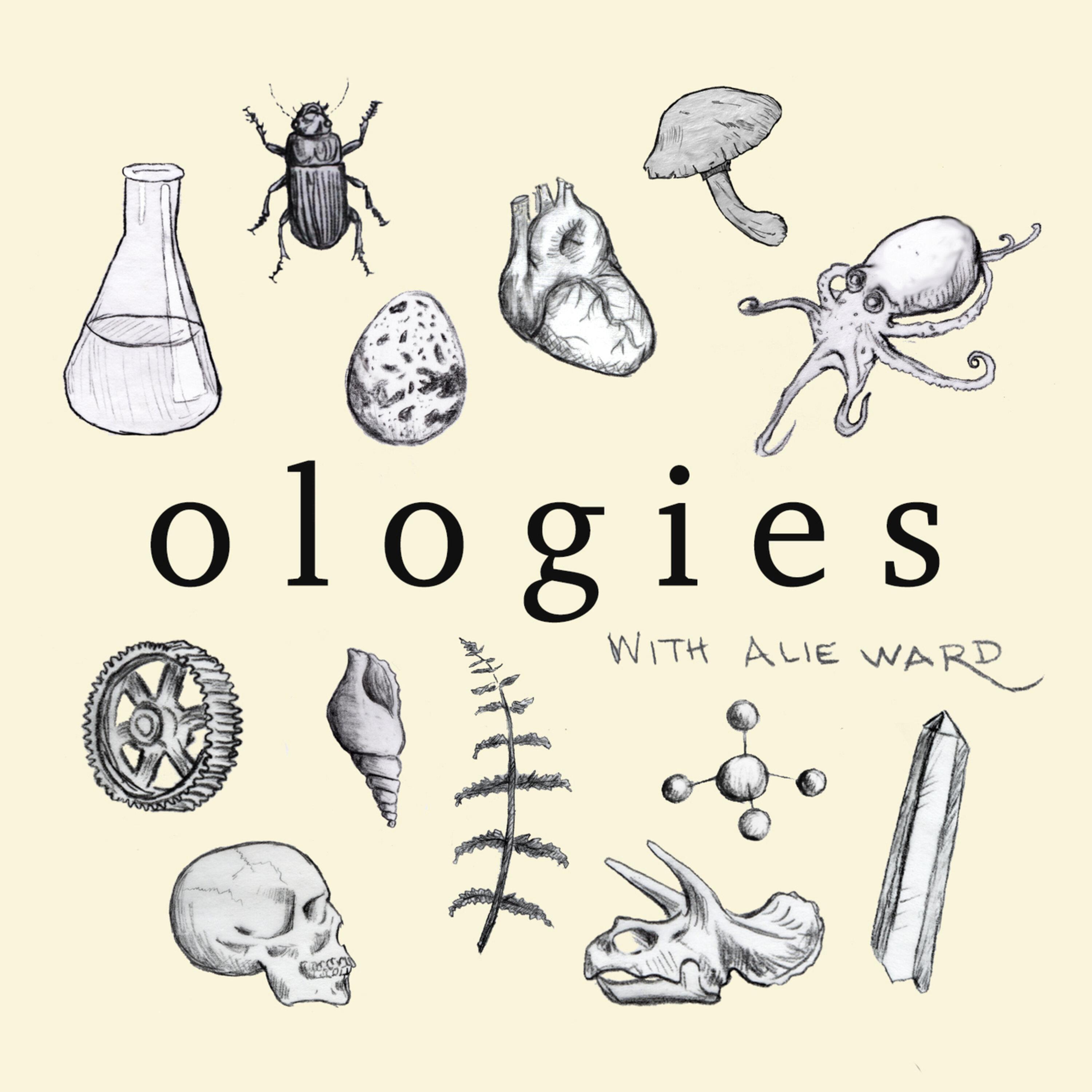 Show poster of Ologies with Alie Ward