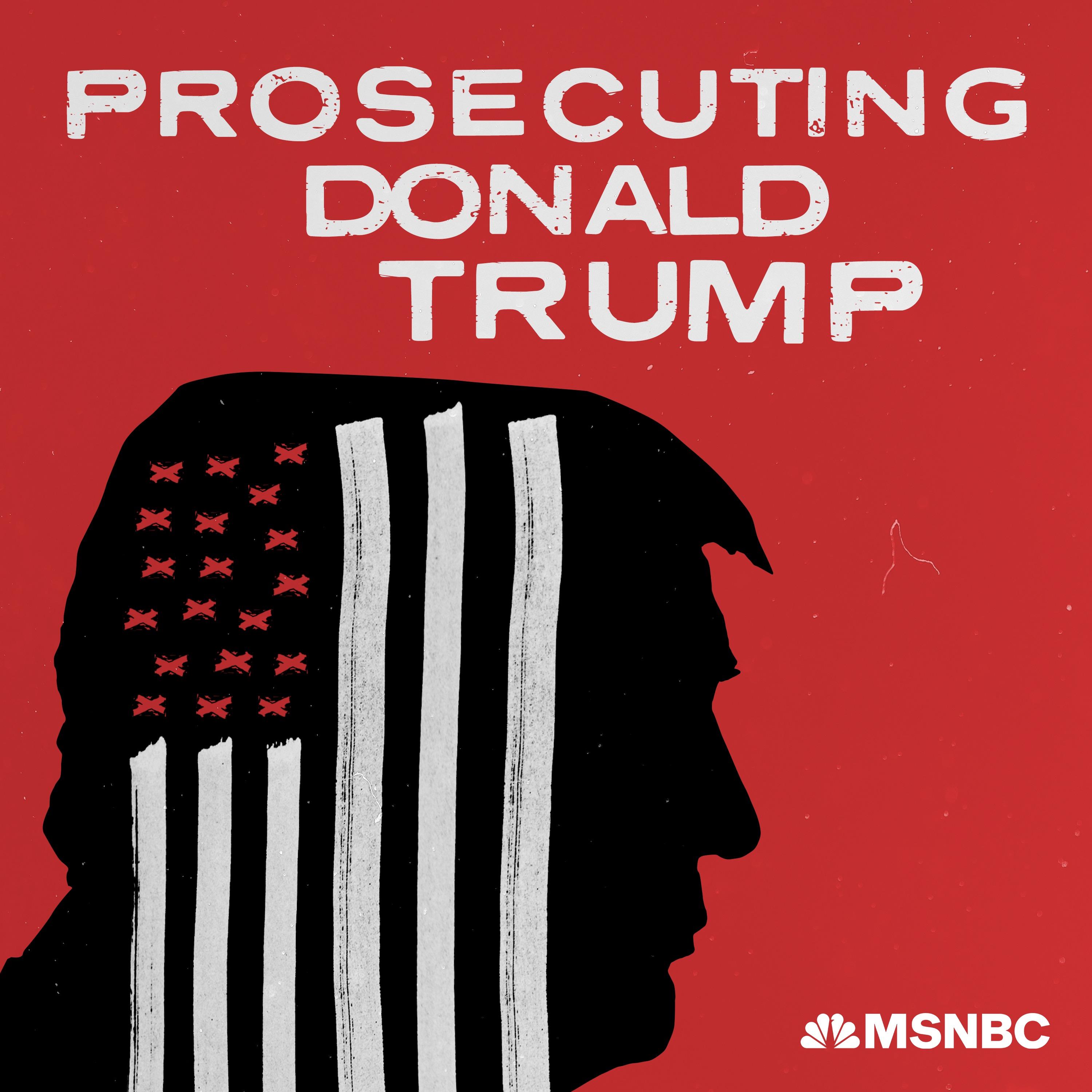 Show poster of Prosecuting Donald Trump
