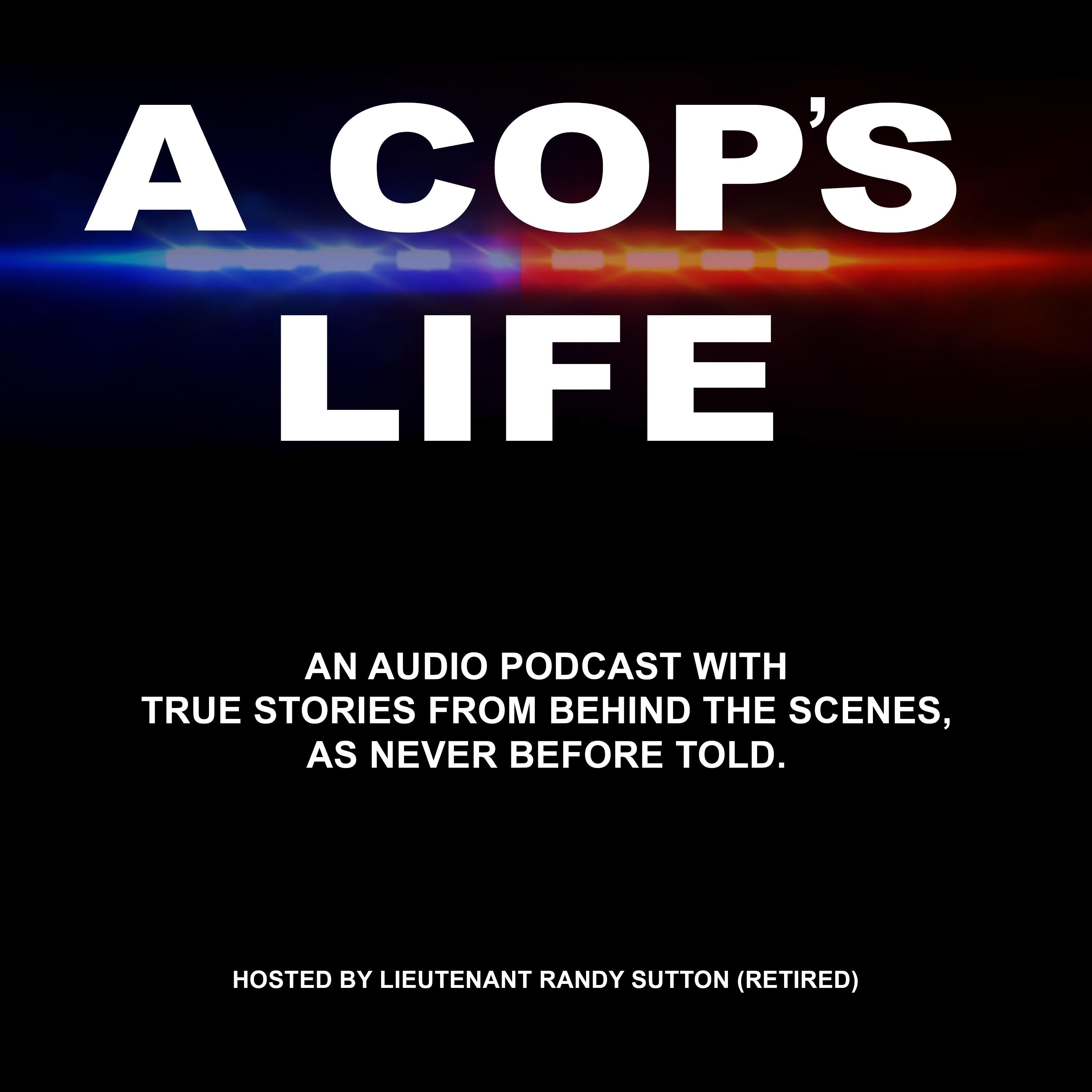 Show poster of A Cop's Life