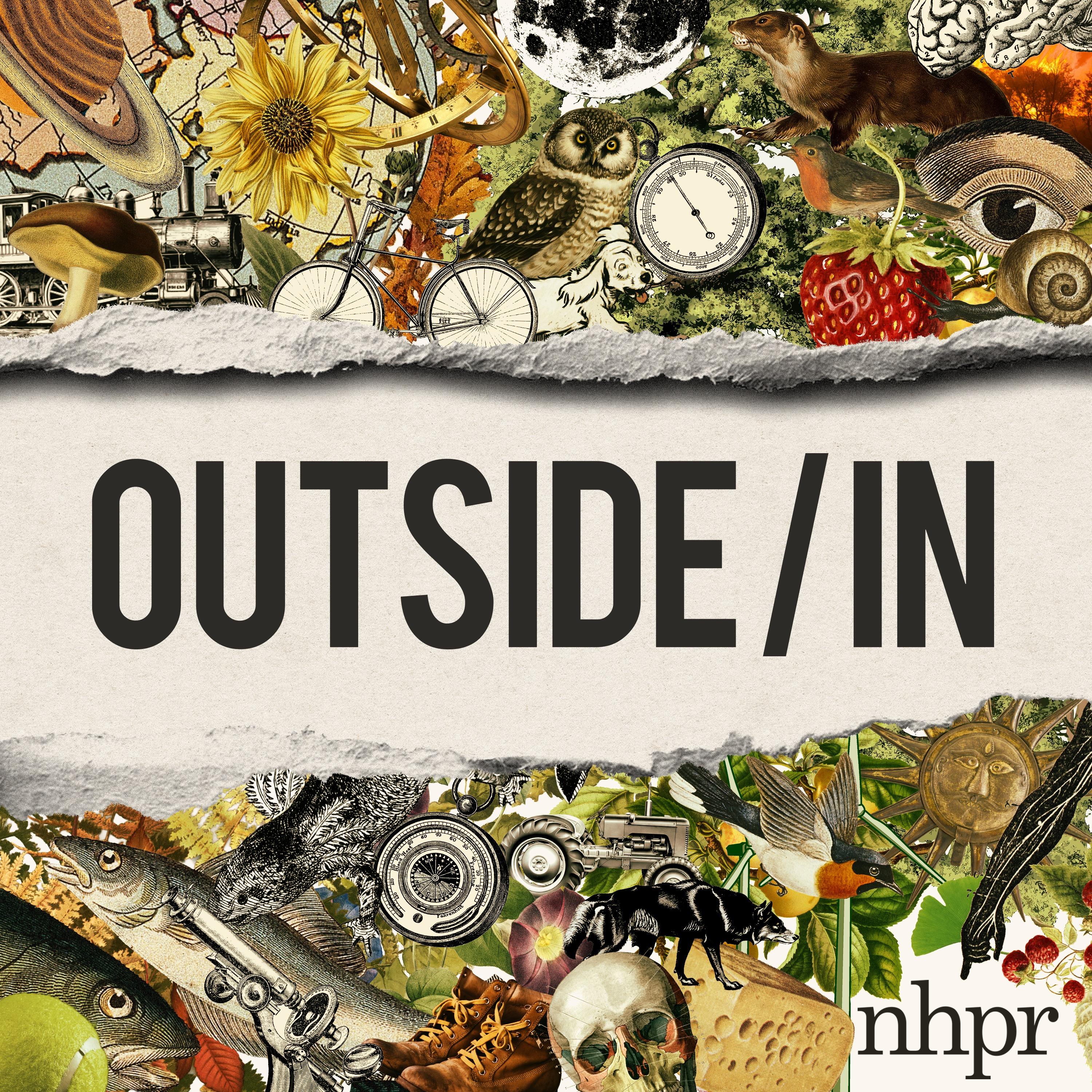Show poster of Outside/In